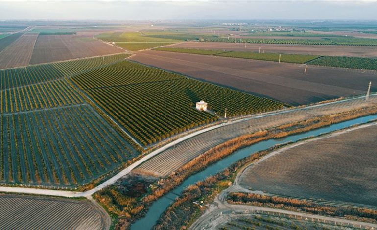 Arsa ve Tarla Yatırımlarında Artış: Uzmanlardan Dolandırıcılık ve Hukuki Risk Uyarısı